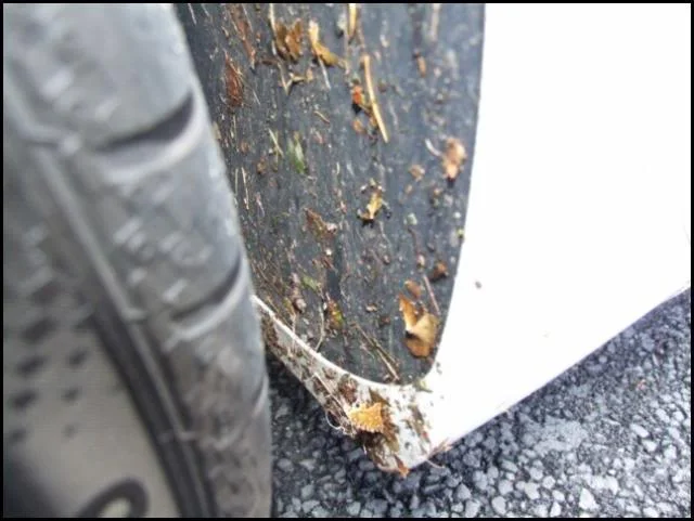 DSCF4060.webp
