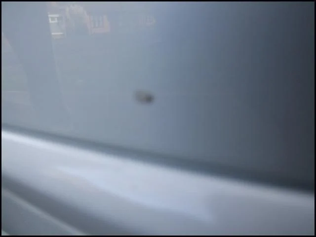 DSCF4062.webp