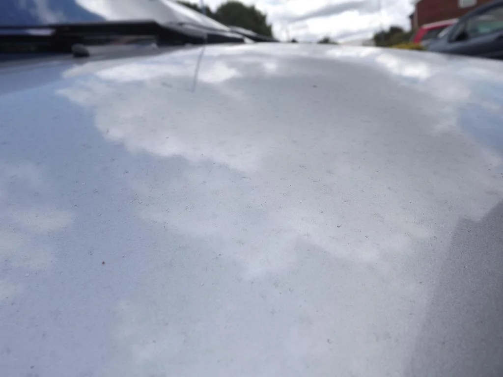 DSCF4062_zps415fd5c5.webp