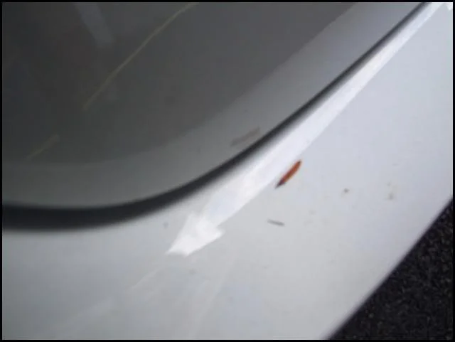 DSCF4063.webp