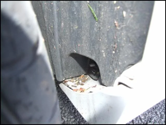DSCF4068.webp