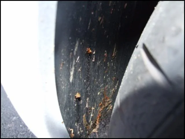 DSCF4069.webp