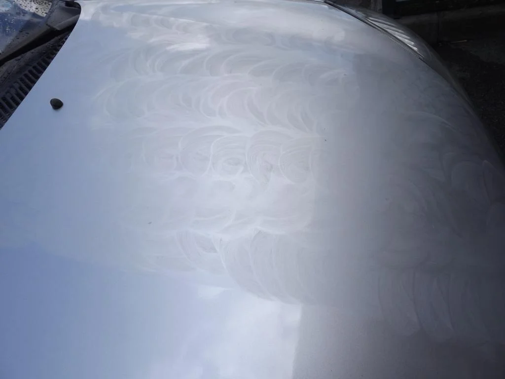 DSCF4070_zps640a7b64.webp