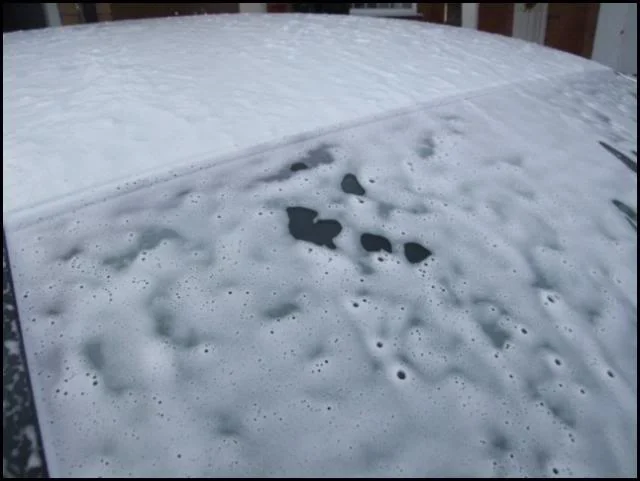 DSCF4091.webp