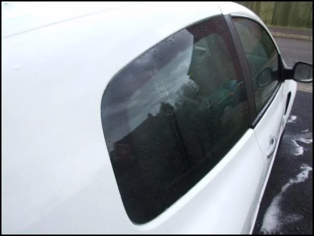 DSCF4095.webp