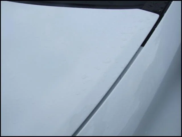 DSCF4099.webp