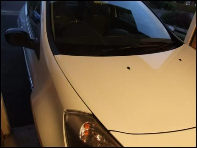 DSCF4132.webp