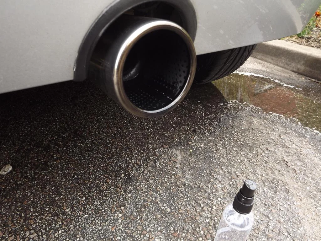 DSCF4160_zps0075333d.webp