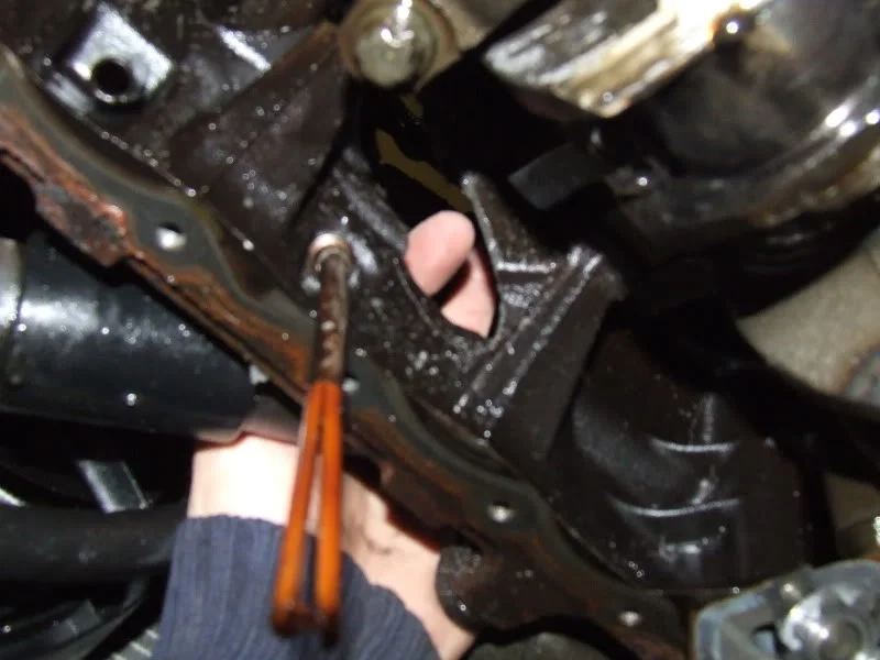DSCF4278.webp