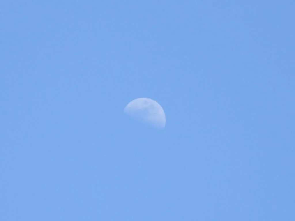 DSCF4365.webp