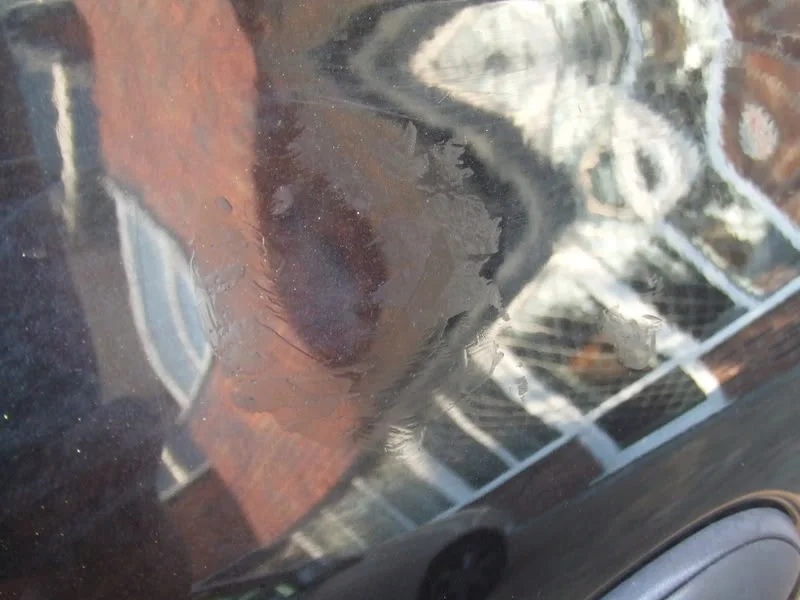 DSCF4377.webp