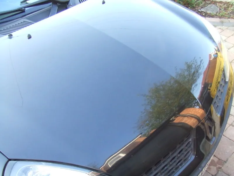 DSCF4379.webp