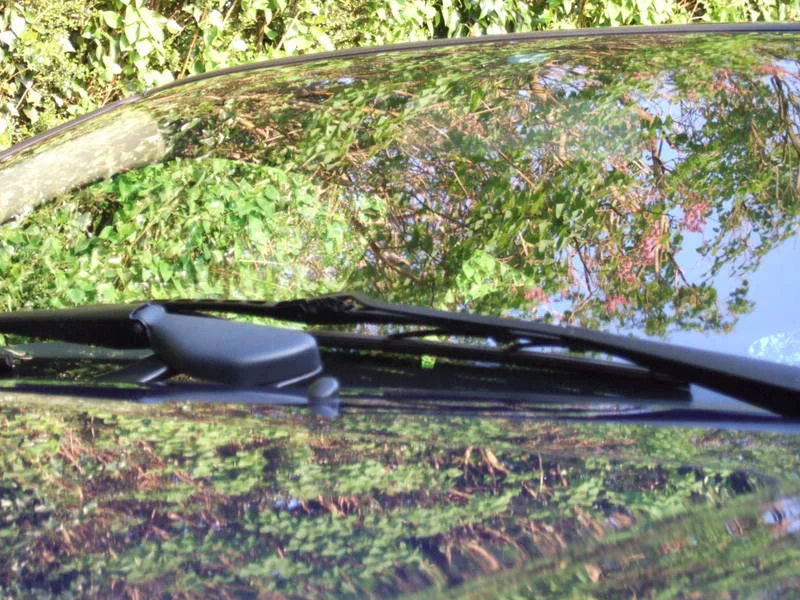DSCF4719.webp