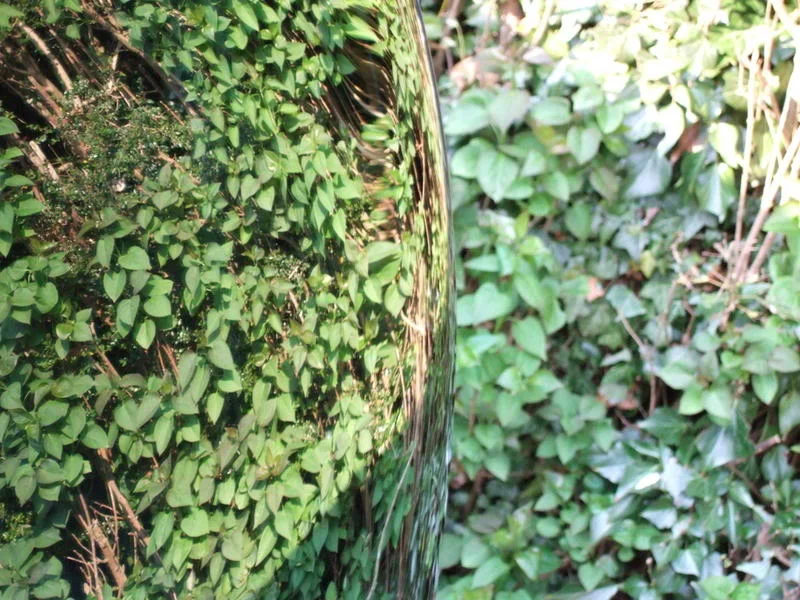 DSCF4726.webp