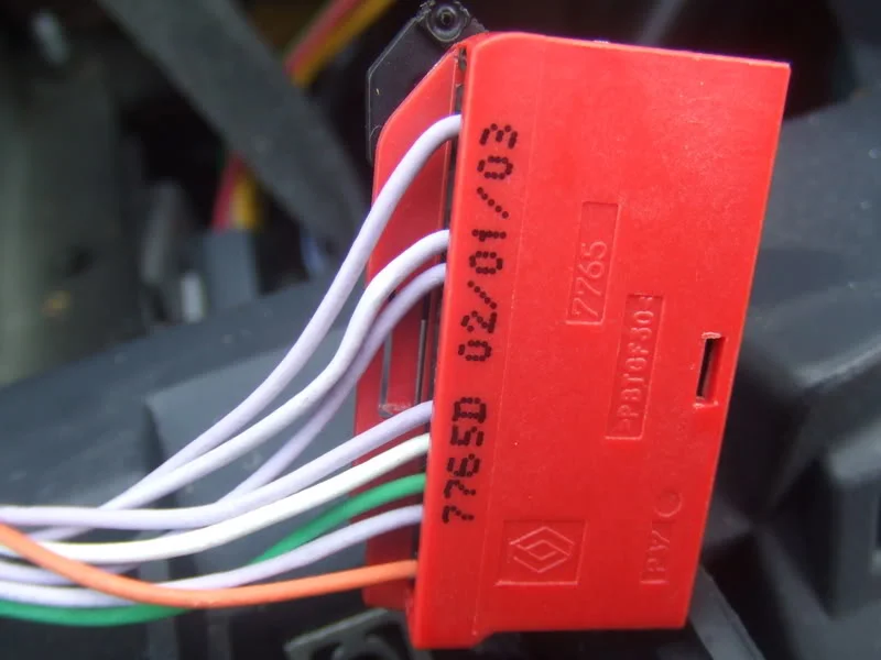 DSCF4981.webp