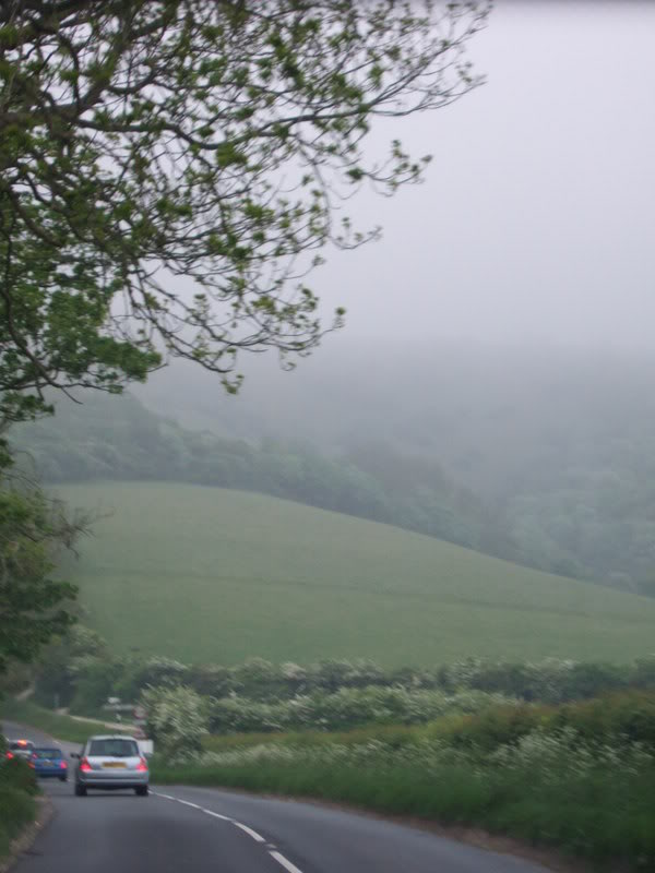 DSCF5271.jpg