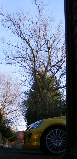 DSCF5311.webp