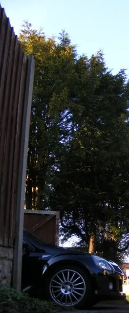 DSCF5313.webp