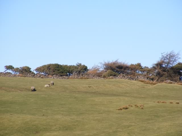 DSCF5364.jpg DSCF5364.jpg