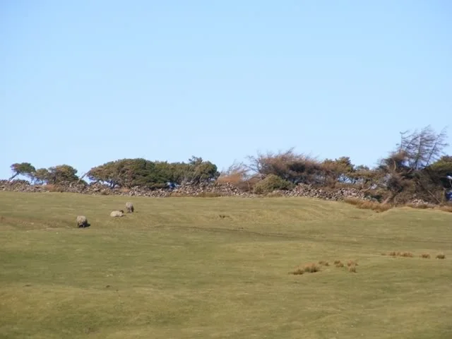 DSCF5364.webp