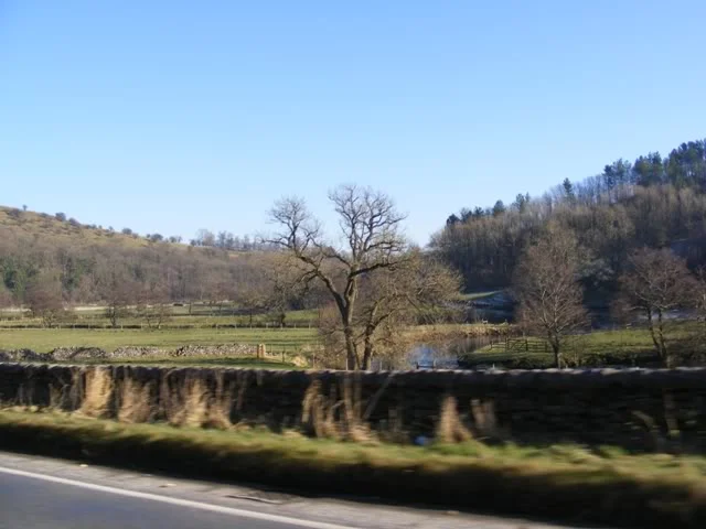 DSCF5377.webp
