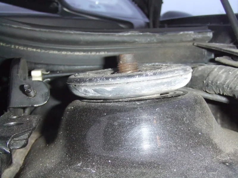 DSCF5450.webp