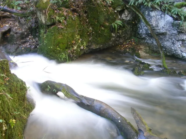 DSCF5462.webp
