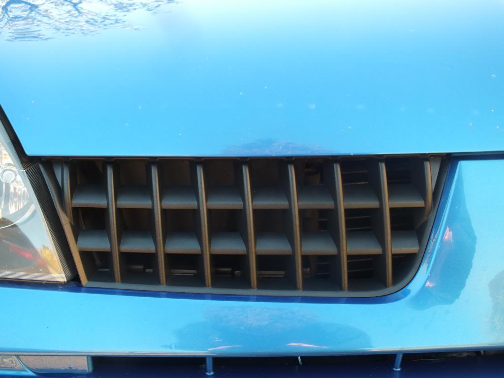 DSCF5475.jpg