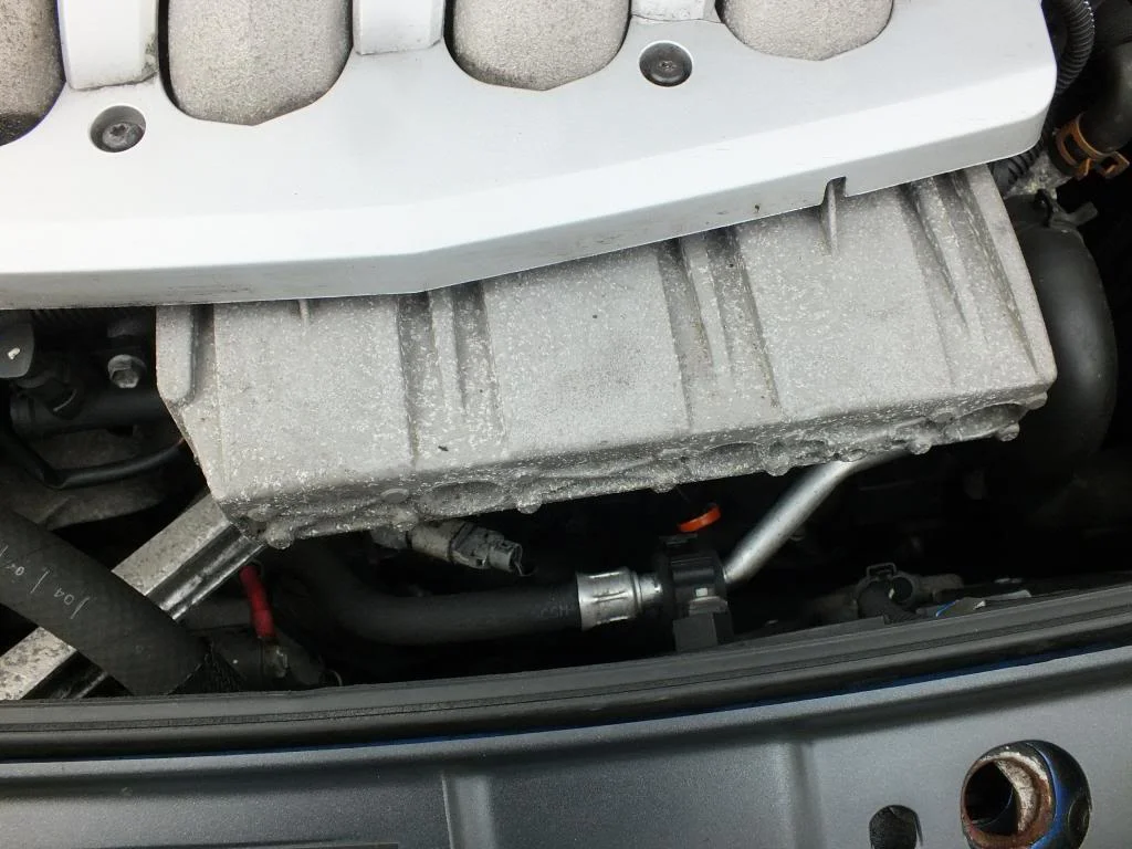 DSCF5507.webp