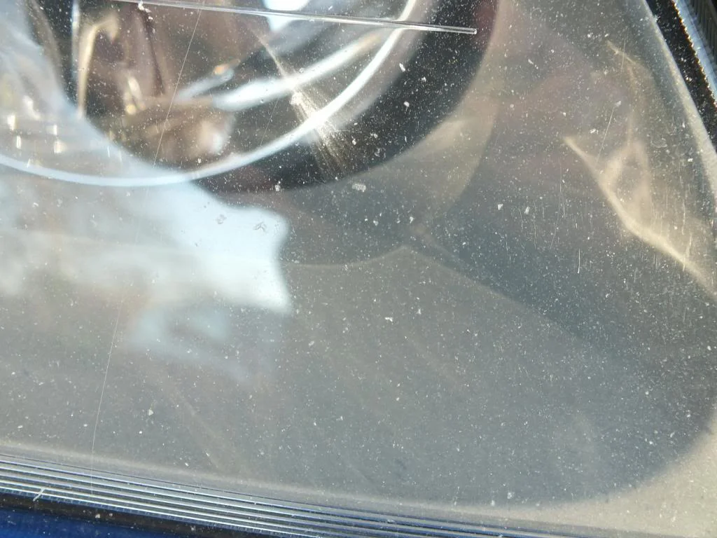 DSCF5589.webp