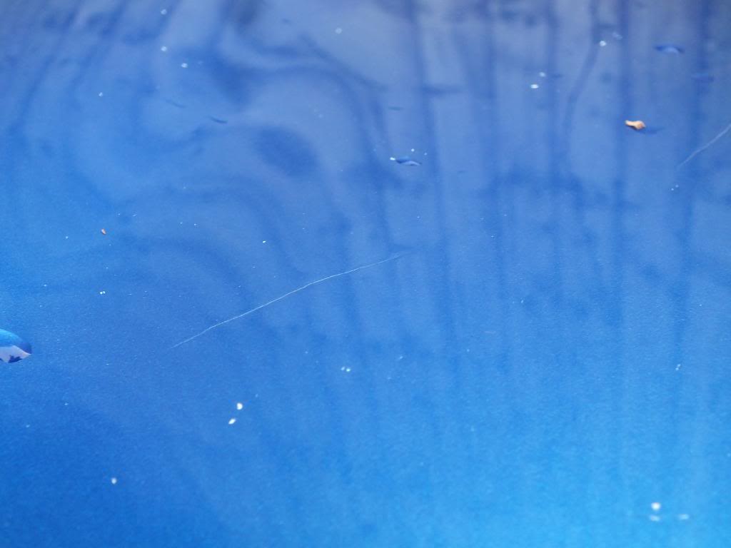 DSCF5671_zps4bde8a61.jpg DSCF5671_zps4bde8a61.jpg