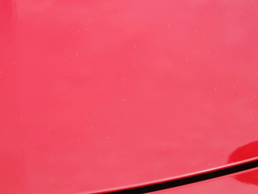DSCF5711.webp