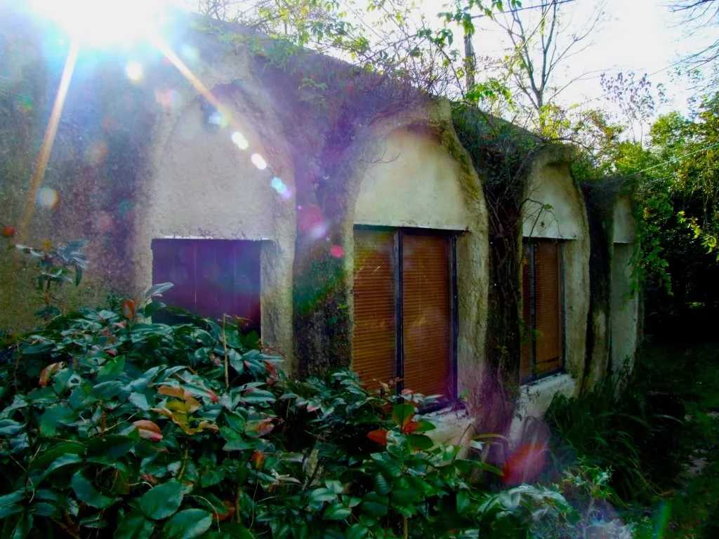DSCF6178JPG.webp