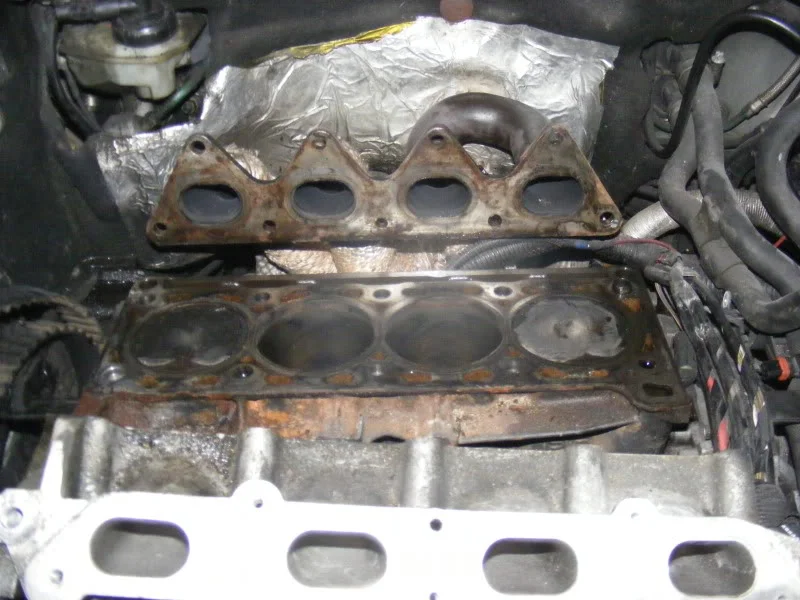 DSCF6513.webp