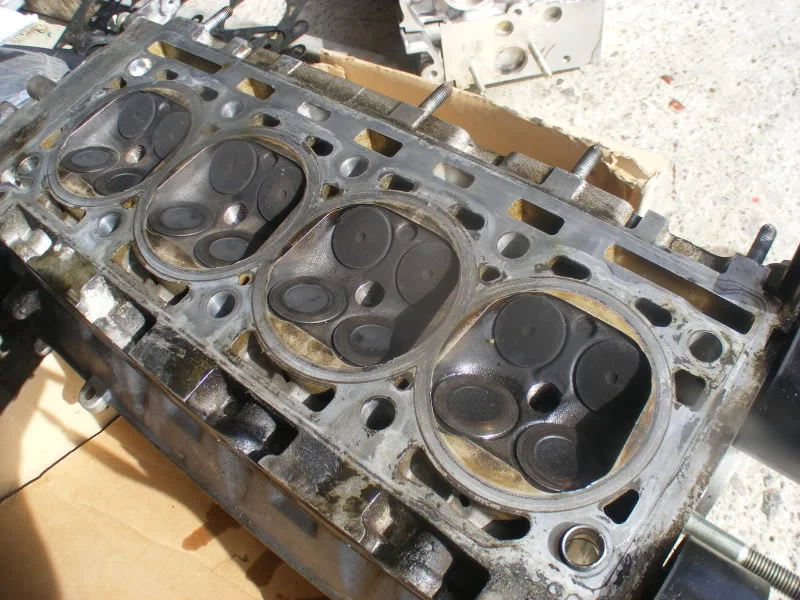 DSCF6520.webp