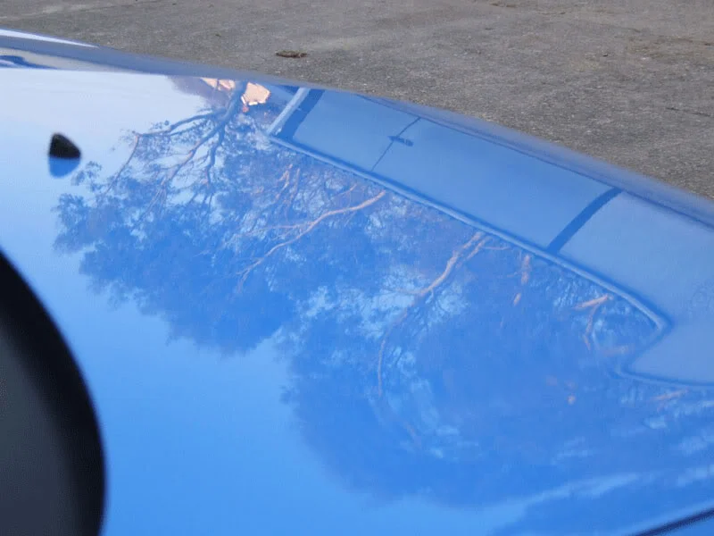 DSCF6939.webp