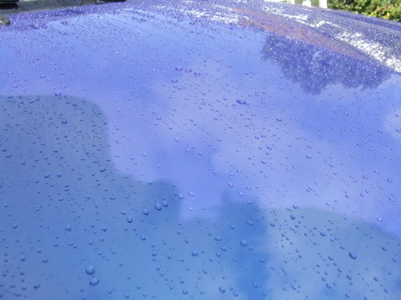 DSCF7178.webp