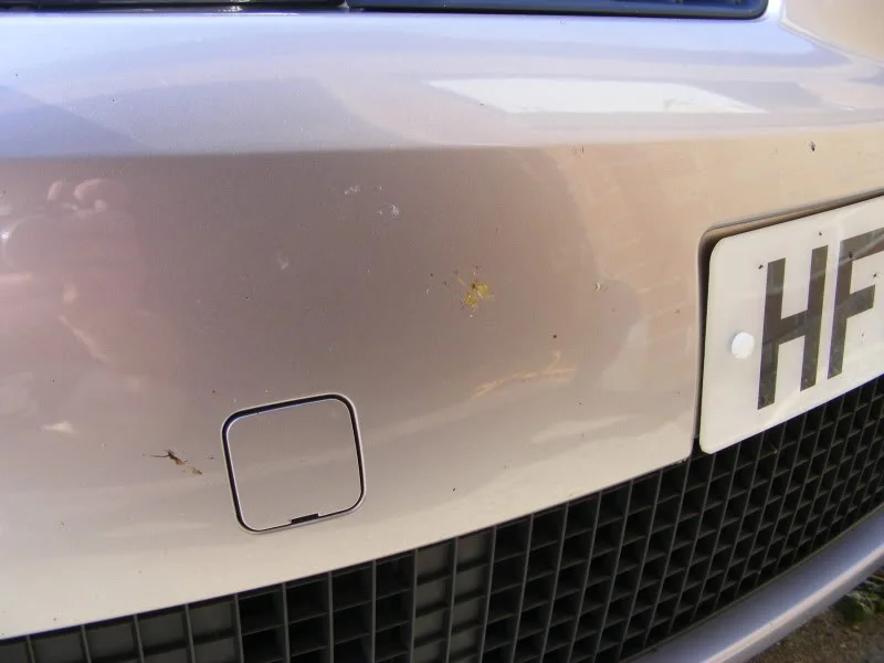 DSCF7346.webp