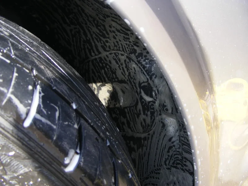 DSCF7355.webp