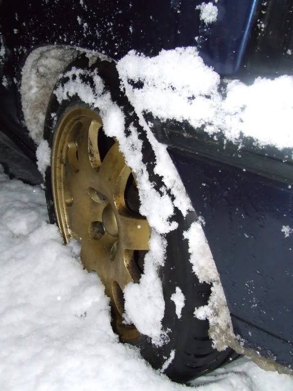 DSCF7410.webp