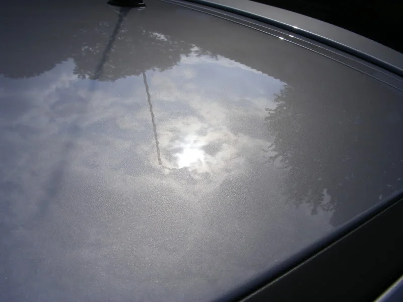 DSCF7429.webp