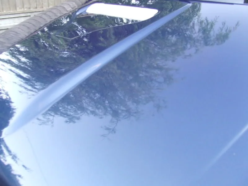 DSCF7538.webp