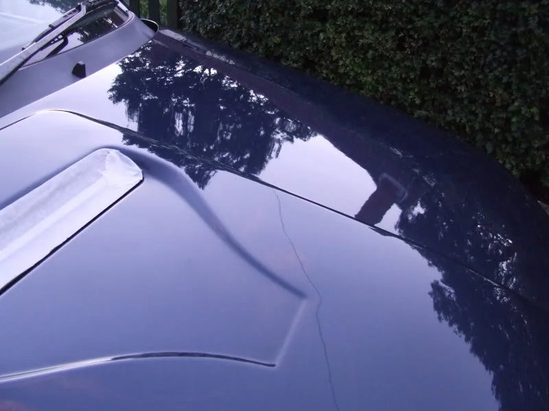 DSCF7539.webp