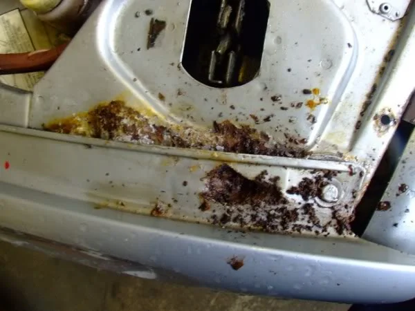 DSCF7741.webp