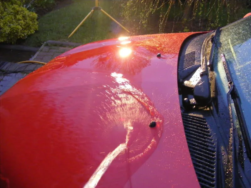 DSCF8144.webp