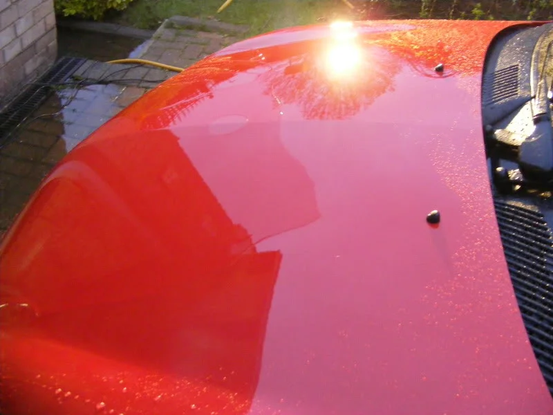 DSCF8145.webp