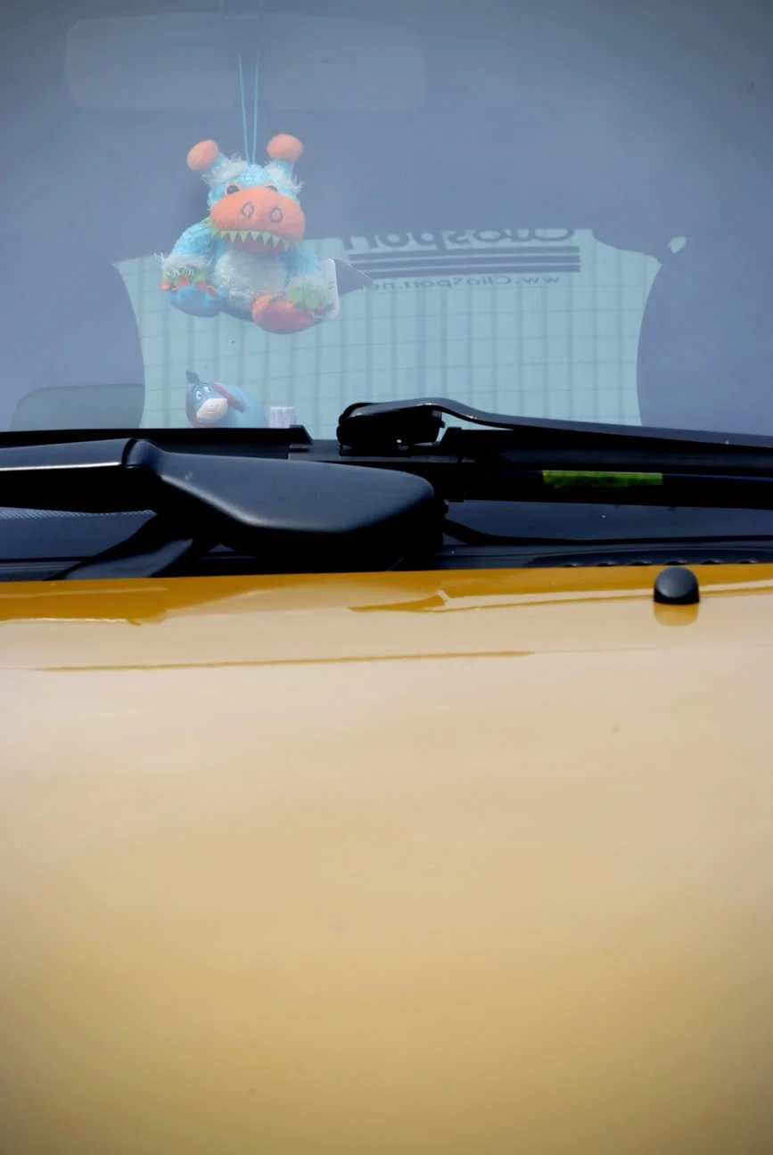 DSCF8454.webp