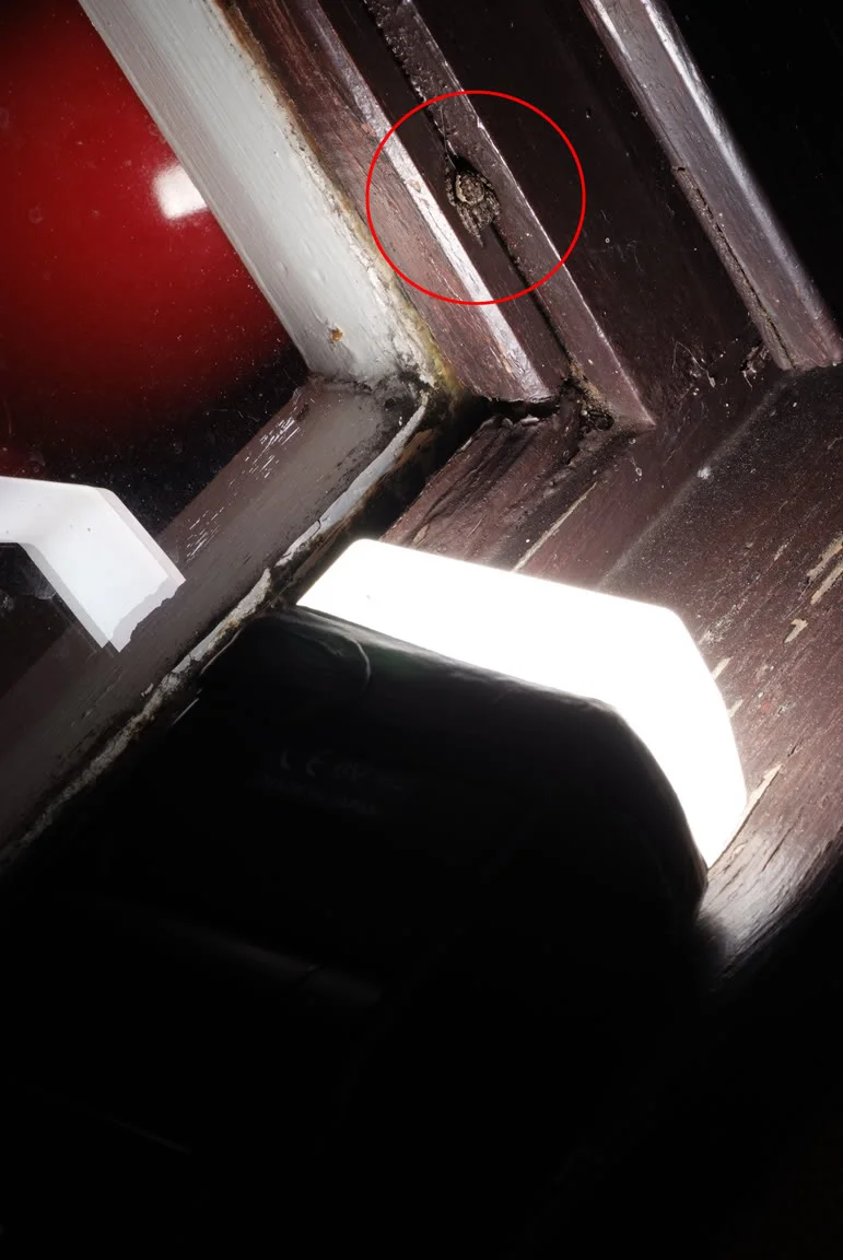 DSCF8604.webp