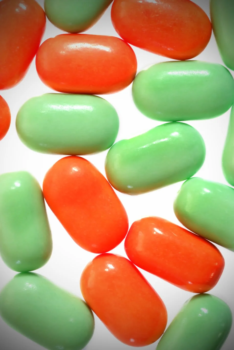 DSCF8650.webp