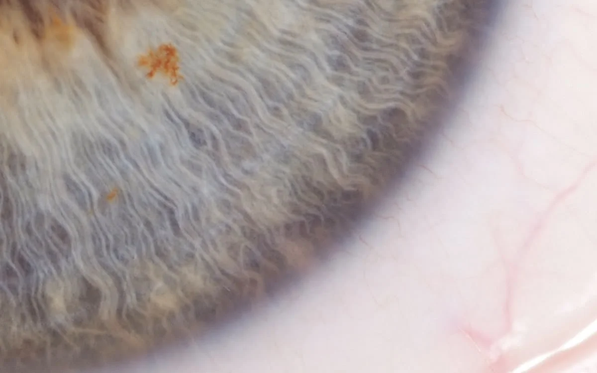 DSCF9006.webp